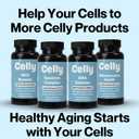 10 x Celly Trans-Resveratrol 400mg | Longevity Supplement for Healthy Aging and Cellular Health | High Absorption for Maximum Benefit | 30 Servings | Non-GMO & 3rd Party Tested