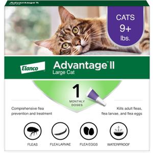 Advantage II Large Cat Vet-Recommended Flea Treatment & Prevention | Cats Over 9 lbs. | 1-Month Supply