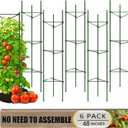 6 Pack Tomato Cage for Garden, 48 Inches Metal Garden Stakes, Plant Support Cages Trellis for Garden and Pots, Tomato Trellis for Potted Plants, Trellis for Climbing Plants Outdoor,Green