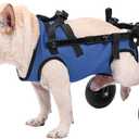 Small Dog Wheelchair for Back Legs - Adjustable Mobility Aid for Disabled Pets, Leg Brace and Hip Support