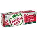 Canada Dry Zero Sugar Cherry Gingerale Fruit Splash 12oz, Pack of 12, BBD: Aug/09/26