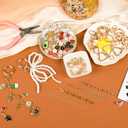 319Pcs Lip Gloss Keychain Making Kit, Including 18 Keychain Clips, 20 Extender Chain, 117 Charms, 150 Jump Ring, 1 Jewelry Plier, Bag Charm Kit, Key Chains Making Supplies for DIY Crafting and Jewelry