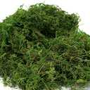 Usmola Artificial Fake Moss, 8OZ Craft Moss for Potted Plant Centerpieces Decor (Fresh Green)