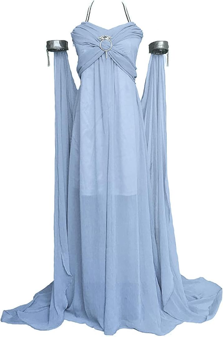 Dragon Queen Halloween Costume，Chiffon Dresses for Women (Small), DT01, Grey