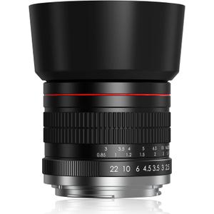 85mm f1.8 Portrait Lens - F Lens for Nikon, Manual Focus (MF) for Nikon D3500 D850 D7500 D5600 D3400 D500 D7200 D5500 D750 D810 D3300 D5300 D610 D7100 D5200 D600 D3200 etc (D-Series) (For Nikon F (D-series))