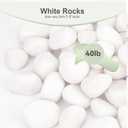 Pulovin 40lbs White Rocks for Landscaping, 1-2 inch Large White Rocks for Plants, Decorative Polished Stones for Garden, Walkways, Yard, Plants Pots, Vases, Crafts