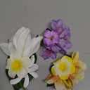 HAIMEIKANG Hair Clip, 3 Pieces Hawaiian Flower Hair Pins - Artificial Tropical Flower Hair Accessories for Women in White, Yellow, Purple (3 Count, 1 Package)