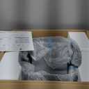 OROLEYp Automatic Cat Litter Box, Self-Cleaning Litter Box with APP Monitoring, Extra Large Capacity, Odor Control System, Infrared Safety Protection, Litter Box for Multiple Cats (Gray)