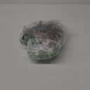 PREXTEX 10'' Dinosaurs - Assorted Plastic Dinosaur Toys for Kids 3-5+ Includes T-Rex and More