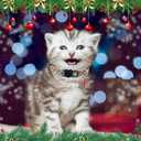 2 x 2pcs Christmas Cat Collar, Cat Collar with Bells Santa Claus and Snowflake Pendant Cat CollarBreakawayAdjustable Kitten Puppy Collarfor Pets Supplies