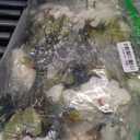 Peony Artificial Flowers, Faux Peonies Hydrangea Eucalyptus Bouquet 12 Packs Silk Vintage Realistic Peony Floral Arrangement for Wedding Centerpiece Table Vase Home Party Decor-Ivory White