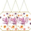 Treela 3 Pcs 8 x 10 Inch Hanging Gold Glass Floating Frame Octagon Brass Double Clear Pressed Flower Frames for Herbarium Plant Specimen Artwork Display Photo Dried Flowers Home DIY Decor