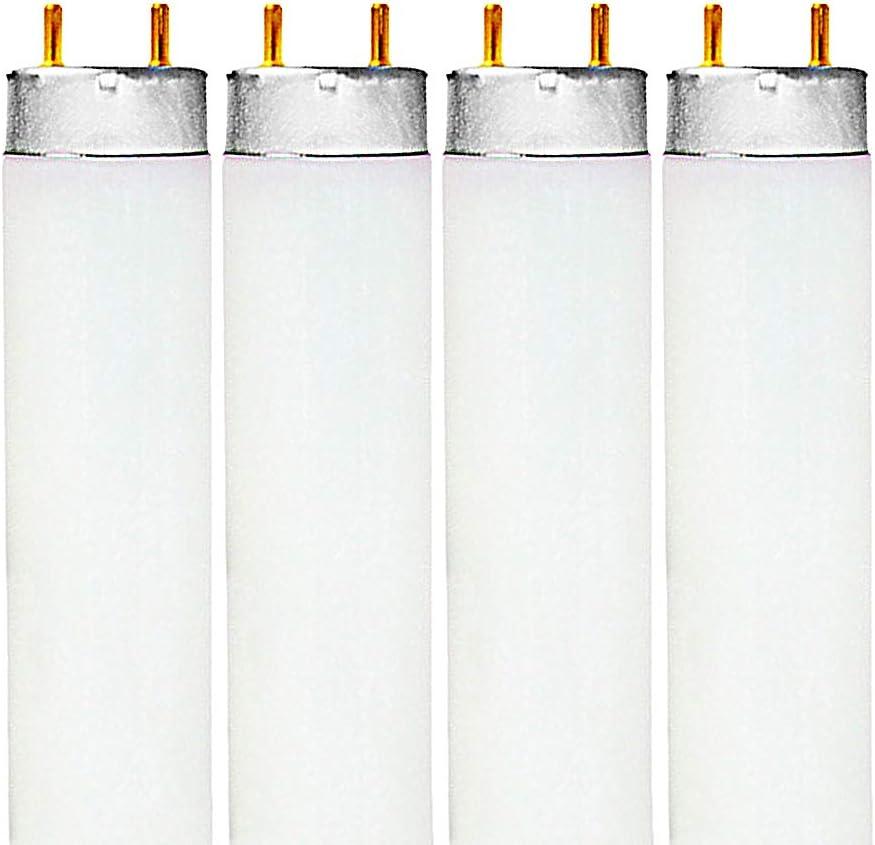 LUXRITE F32T8/865 32W 48 Inch T8 Tube Light Bulb, 6500K Daylight, 2800 Lumens, G13 Medium Bi-Pin Base, LR20735, 4-Pack LUXRITE F32T8/865 32W 48 Inch T8 Tube Light Bulb, 6500K Daylight, 2800 Lumens, G13 Medium Bi-Pin Base, LR20735, 4-Pack