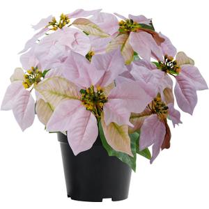 MELAJIA Artificial Pink Poinsettia Plant - 14Inch Faux Christmas Flowers for Indoor Outdoor Xmas Porch Garden Decorations