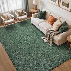 FinRec 5x7 Washable Area Rugs for Bedroom Living Room, Low Pile Thin Rug Solid Color, Non-Slip Carpet Indoor for Home Decor (Green/White)