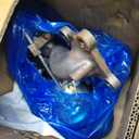 CJ5Z6K682C 2.0L Turbocharger Assembly with Gaskets Compatible with Ford Escape Focus Fusion Taurus 2013-2018, Lincoln MKC MKT MKZ 2013-2016, 2.0L Turbo L4, Replace # CJ5Z6K682F, CJ5Z6K682E