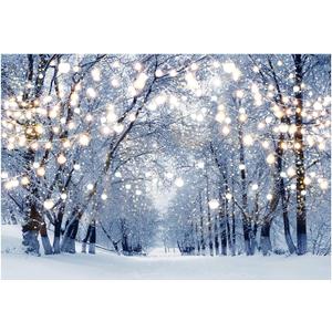 Funnytree 7x5ft Winter Scene Backdrop Wonderland Snowflake Photography Background Bokeh Glitter White Snow Forest Christmas Party Decoration Tree Landscape Kids Photobooth Photo Studio Props
