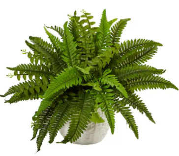 Indoor Boston Artificial Fern
