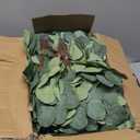 Giegxin 600 Pcs 3 Kinds Mixed Eucalyptus Leaves Stems Bulk Artificial Silver Dollar Leaves Picks Dried Eucalyptus Bundle Faux Spray for Wedding Vase Bouquet Floral Arrangement (Green)