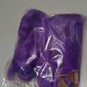 Topcosplay 24 inch Girls Long Purple Braid Cosplay Wig Halloween Party Costume Wig