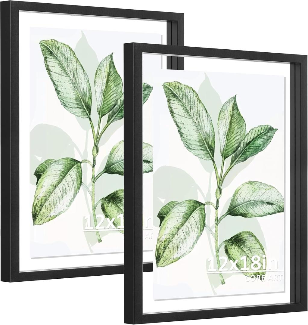 CORE ART 12x18 Floating Picture Frame 2 Pack, Black