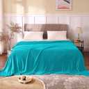 BEDELITE Fleece Blankets Queen Size Teal Throw Blankets for Bed, Luxury Plush Cozy Fuzzy Blanket 90x90 inches, Super Soft Warm Lightweight Throw Blanket All Seasons Suitable