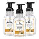 J.R. Watkins Foaming Hand Soap Pump with Dispenser, Moisturizing Hand Soap Foam, Alcohol-Free and Cruelty-Free, Use for Kitchen or Bathroom, Orange, 9 fl oz, 3 Pack