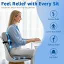 SFSFSCDF Memory Foam Comfort Seat CushionLumbar Support Pillow for Sciatica & TailboneOffice Chair CushionSuitable for OfficeChairs,Automobiles, Wheelchairs, Home and Office Use (Seat Cushion)