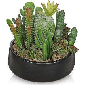 DILATATA Artificial Cactus Plants in Pot 5.5 Inch Fake Succulents Arrangement Potted Plant in Black Ceramic Planter Bowl for Home Office Desk Shelf Living Room Bedroom Bathroom Decor