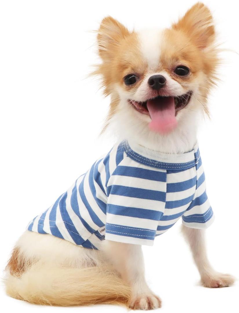 LOPHIPETS 100% Breathable Cotton Striped Dog Tee Shirt T-Shirt for Small Dogs Chihuahua Puppy Clothes -Blue and White Strips/M (Medium for 4.5-6.5 lbs)