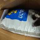 Dr. Elsey's Ultra UnScented Clumping Clay Cat Litter 40 lb. Bag
