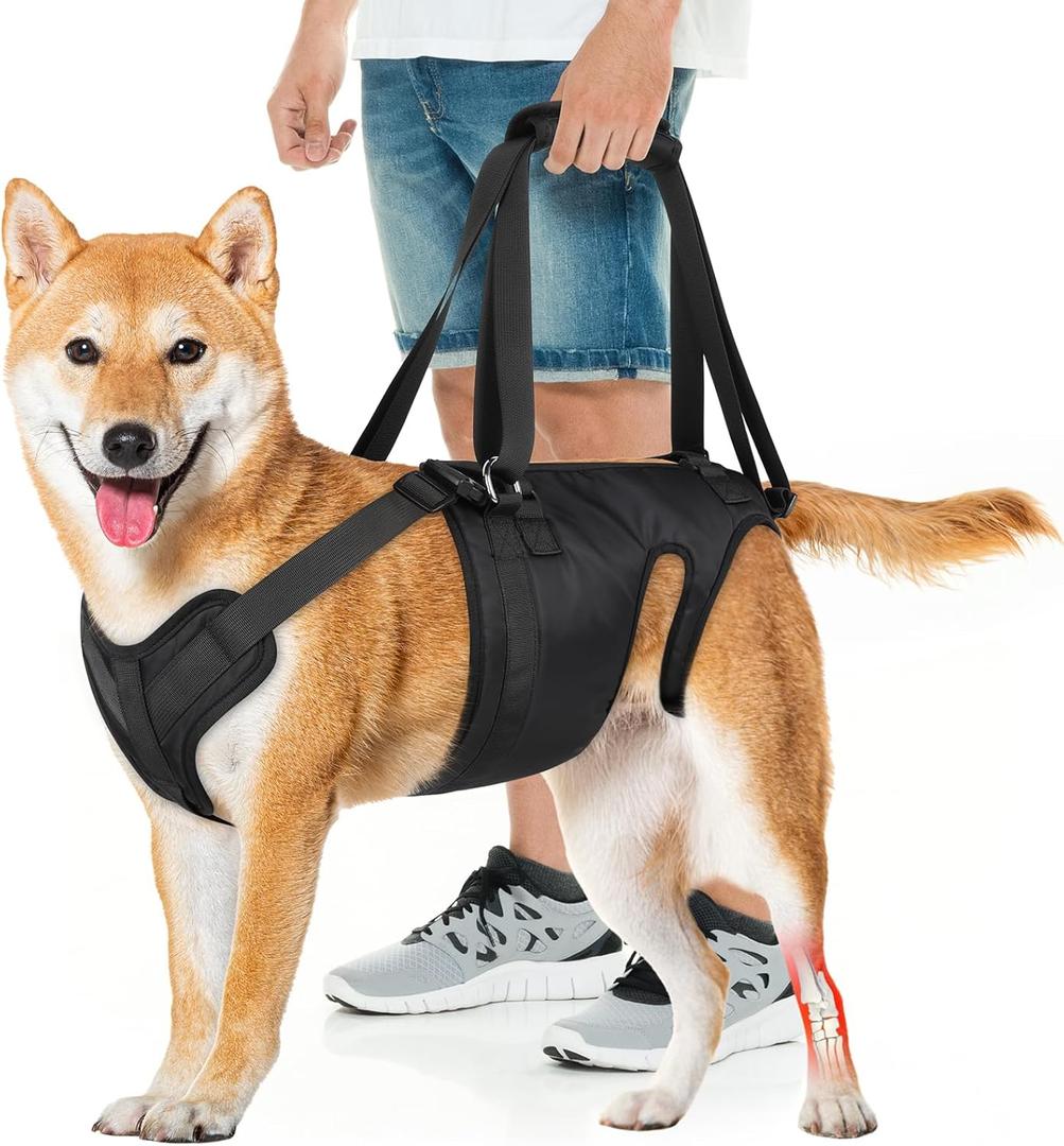Dog Lift Harness, Dog Sling for Large Medium Dogs' Hind Leg Support Pee-Able. Ideal for Seniors, Disabled, Injured & Arthritic Dogs in ACL Recovery, Secure Harness for Assisted Mobility (Medium)