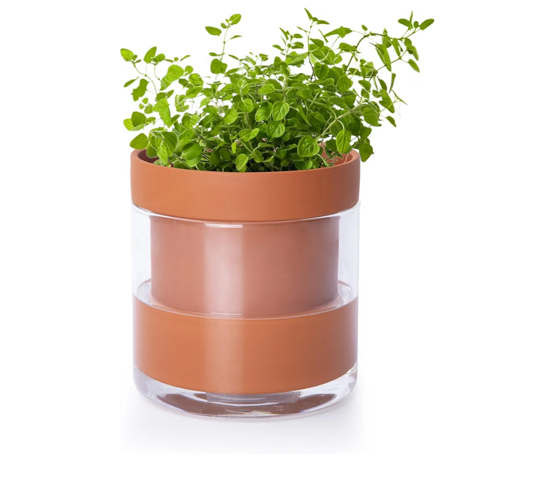 Phoenix Vine 4 Inch Self Watering Planter Pot, Terracotta Clay Pot with Glass Reservoir for Indoor Plants, Herbs, Flowers, Set of 1, 52-A-E-1