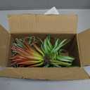 8 PCS Artificial Succulents Plants Lifelike Air Plants Floral Tree Arrangement Assorted Faux Greenery Artificial Plants Set Garden Home Office DIY Decoration Ornament