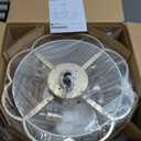 Gold Fandelier Ceiling Fans with Lights, 20" Mid Century Boho Chandelier Ceiling Fan Remote Control with 6 Speeds for Bedroom, Nursery, Living Room