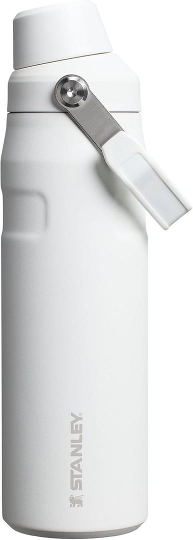 Stanley IceFlow Fast Flow Water Bottle | Angled Spout Lid | Lightweight & Leakproof for Travel & Sports | Insulated Stainless Steel | BPA-Free (24 Ounces, Alpine)