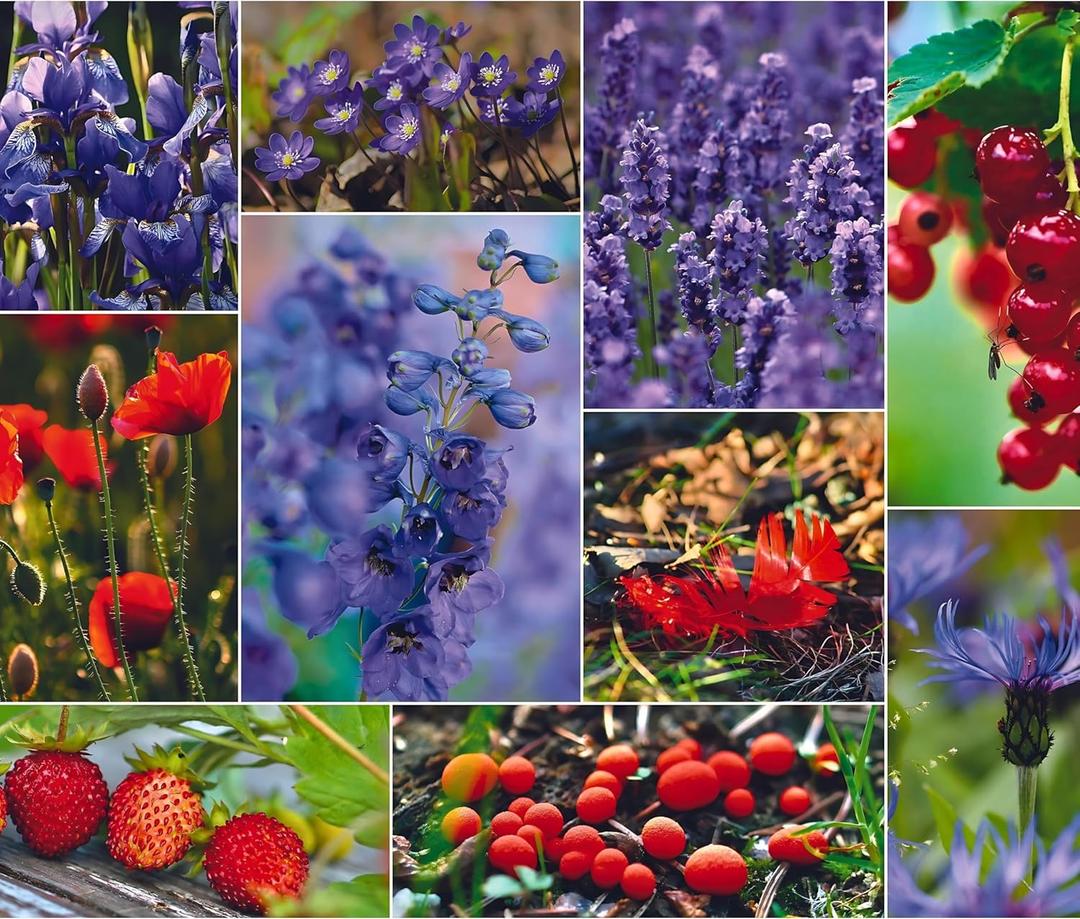 1000 Piece Puzzle for Adults – Collage of Wildflowers, Berries & Mushrooms, Gift-Ready Box, Letters on Back, 8 Jigsaw Puzzle Saver Sheets & Full-Size Poster by GERJATO – Ideal Gift for Loved Ones