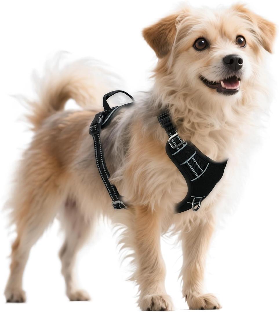 No Pull Dog Harness with Reflective Safety Strips, Adjustable Soft Padded, 3 Buckles, 2 Leash Clips, Oxford No Choke Pet Vest with Easy Control Handle for Medium Dogs, Black, M