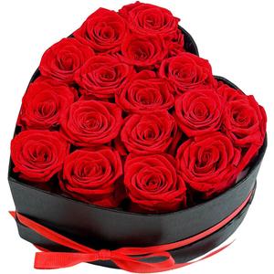 Preserved Roses Heart Shape Box Valentines Day Gifts for Her Mothers Day Forever Flowers (Red, 16 Roses)