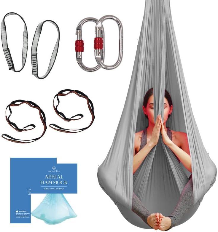 Aerial Silk Yoga Hammock & Swing for Home, Inversion Exercises, Starter Kit for All Levels - Durable with Extension Straps, Carabiners, and Pose Guide (4.5 yards, Silver)