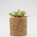 BASE ROOTS Mushroom Planter, Speckled Terracotta, Indoor/Outdoor, Holds Small Plants