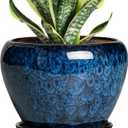 6 Inch Plant Pot - Ceramic Pots for Plants with Drainage Hole and Saucer, Round Succulent Planter Indoor Outdoor, Modern Flower Pot for Snake Plants, Home Decor, Gifts for Plant Lover, Blue