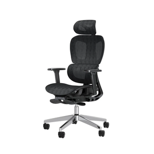 Ergonomic Mesh Office Chair with 3D Adjustable Armrest,Plastic Frame High Back Desk Computer Chair Ergo3d Ergonomic Office Chair with Wheels for Home & Office Black