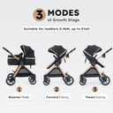 Accombe 2-in-1 Convertible Baby Stroller for Newborn to Toddler, Color: Gold