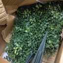 Nearly Natural 3ft UV Resistant Artificial Boxwood Plants, Set of 2, with Integrated Ground Stakes for Indoor Outdoor and Garden Decor