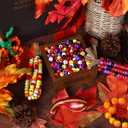 Whaline 1000Pcs Halloween Pony Beads with 100Pcs Chenille Stems Pipe Cleaners 7 Colors Fall Plastic Craft Focal Beads Bulk for Autumn Thanksgiving DIY Craft Necklace Bracelet Jewelry Making Supplies