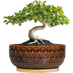 Bonsai Pots - 8 Inch Ceramic Planter with Drainage Hole and Saucer, Boho Round Shallow Succulent Bowl for Indoor Plants Flower, Room Decor, Gifts for Plant Lovers, Brown