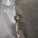 Splash Panel Shield Under Diaper Gas Motor Compatible with 2015-2020 Ford F150 with Gasoline Engine, Underbody Panel/Cover Not Fit Raptor Model/3.0L Diesel, Replace# ML3Z-7222-D