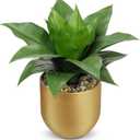 Briful Agave Artificial Wide Leaf Plant in Gold Pot 10.2 Tall Faux Greenery with Lush Plastic Leaves & Pebble Base, Fake Plant Decor for Indoor Tabletop, Office Desk, Bathroom Shelf