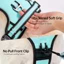 NESTROAD No Pull Dog Harness,Adjustable Oxford Dog Vest Harness with Leash,Reflective No-Choke Pet Harness with Easy Control Soft Handle for Medium Dogs(Medium,Turquoise)